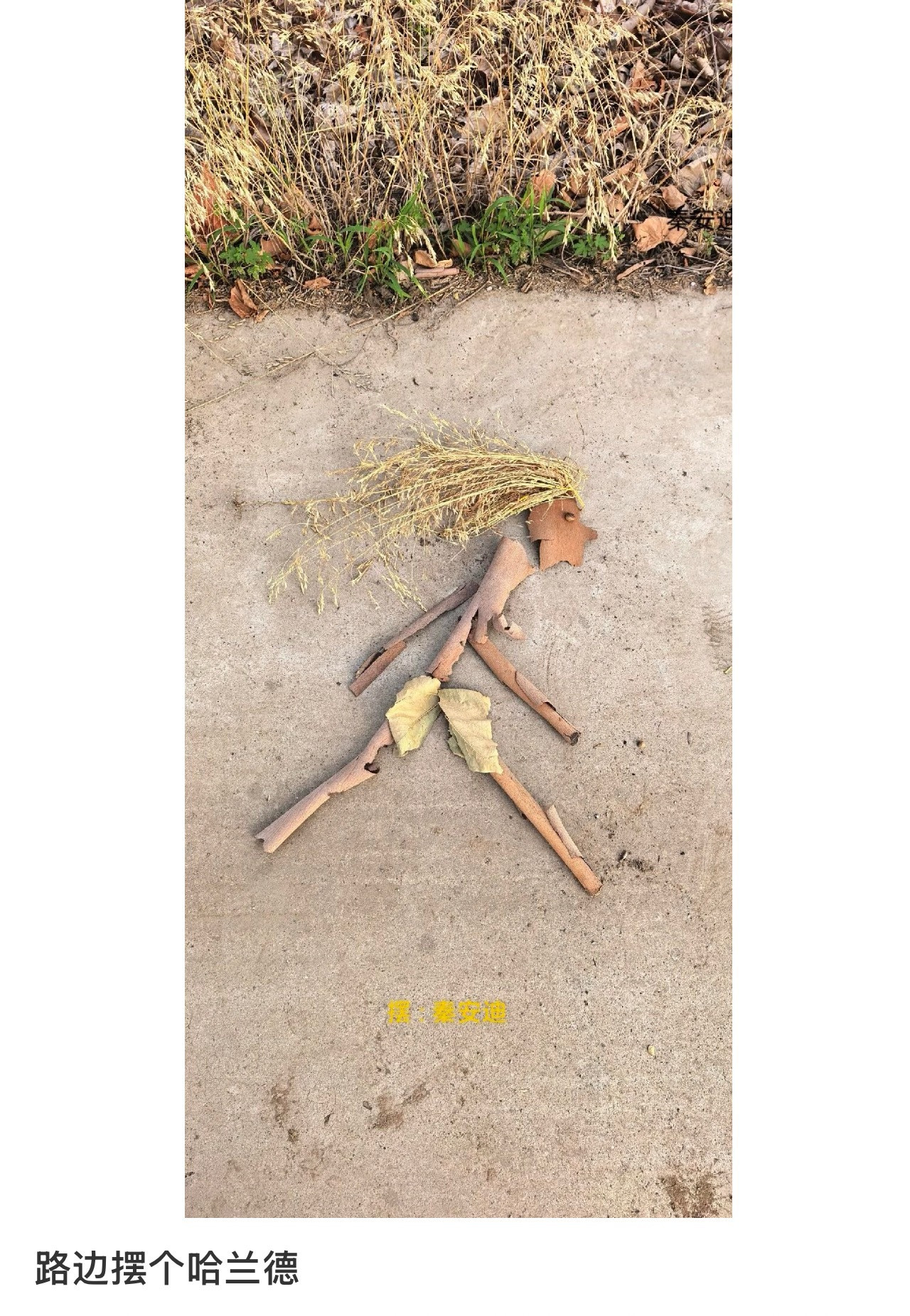 路边摆个哈兰德非正经观战世界杯