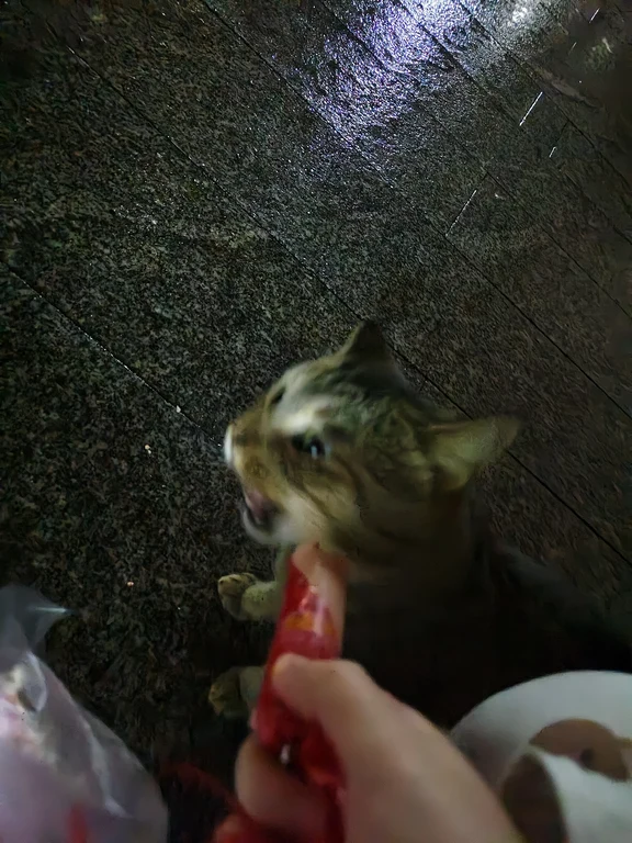 第一次觉得葛大爷的声音有点多余