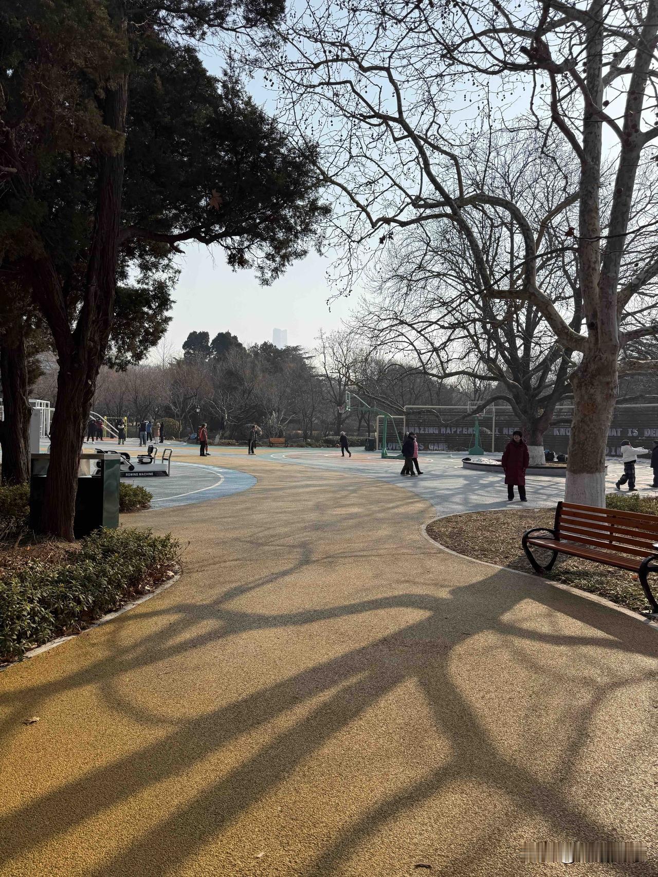 记录我的2026我昨天上午去青岛中山公园打卡了，经过了零下七八度的严寒天气之后，