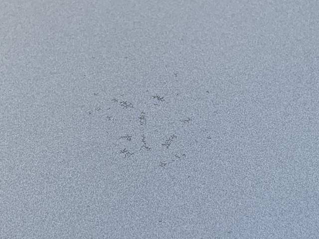 帮忙看一下是不是买到正品比亚迪了落地还有几个月就准备一年了，今天洗车突然看到车