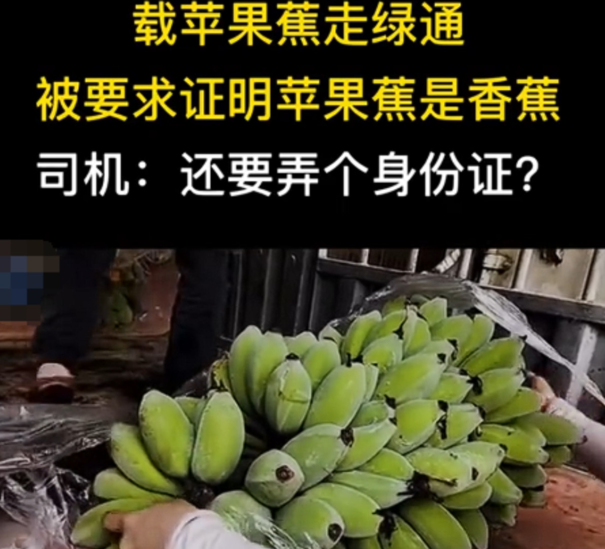 “你怎么证明它是香蕉？”货车司机拉了一车苹果蕉，想要拉回老家售卖。谁知下高速时，