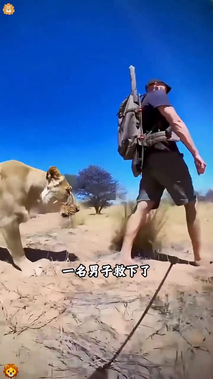 救下弃养幼狮，朝夕相伴养大。你敢相信吗？一名男子救下了一头被遗弃的幼狮，像家人