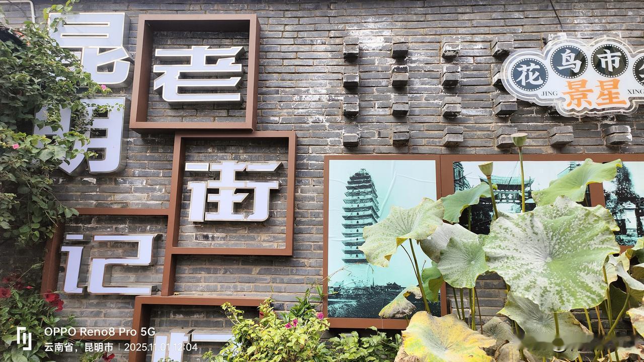 去云南旅游值不值？我劝你别去，因为去了就回不来了——心丢那儿了。洱海不是滤