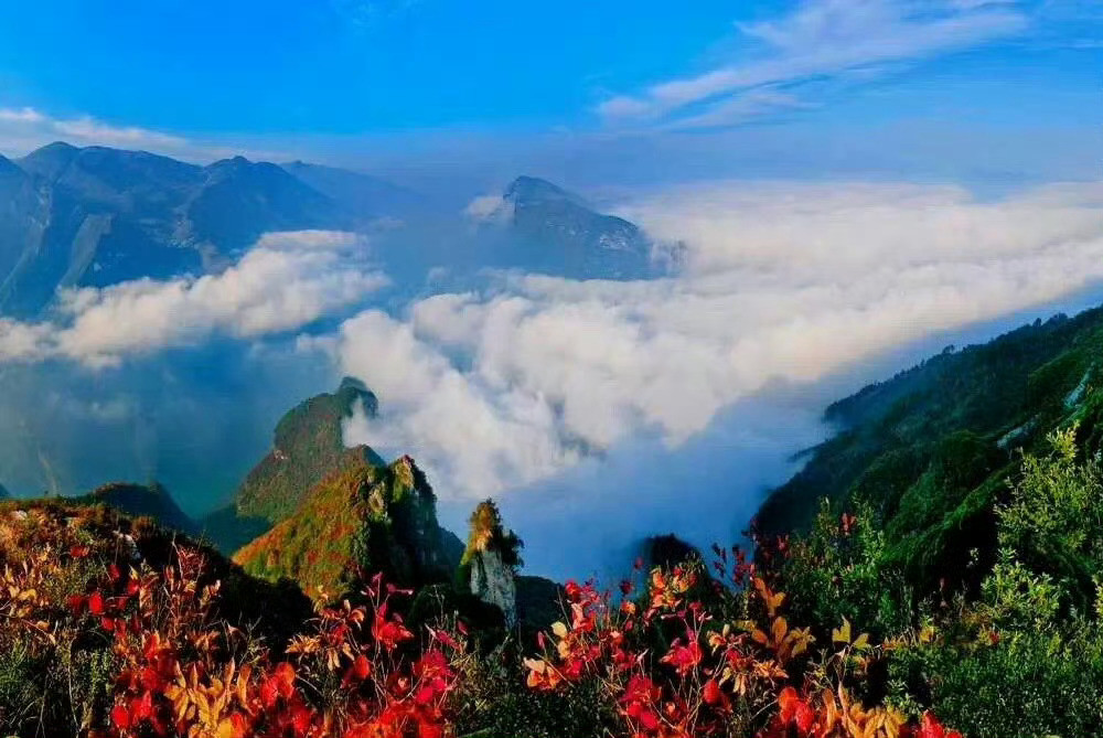 重庆·巫峡的秋天，仿佛连阳光都变得红通通的，强烈的光线散落在白色的云雾光晕之