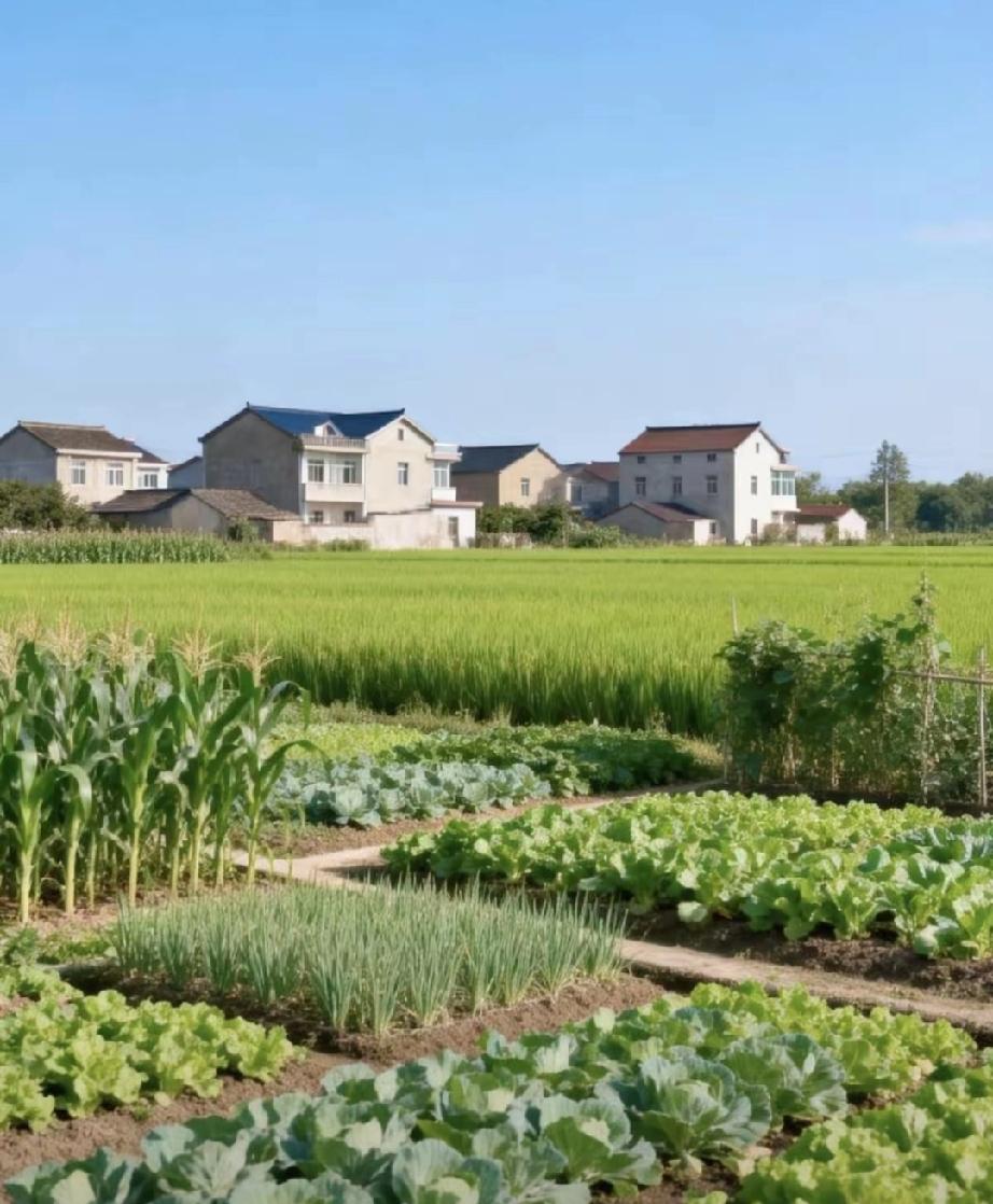 奉劝大家五一假期要是手头没有钱，咱就活通透点，千万别出去旅游！​五一假期