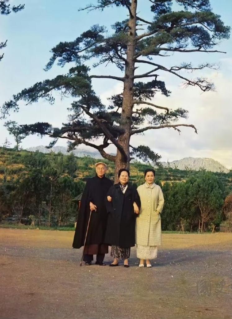 这张照片拍摄于1969年的台湾，是蒋介石夫妇和大姐宋霭龄拍摄的最后一张照片，也是