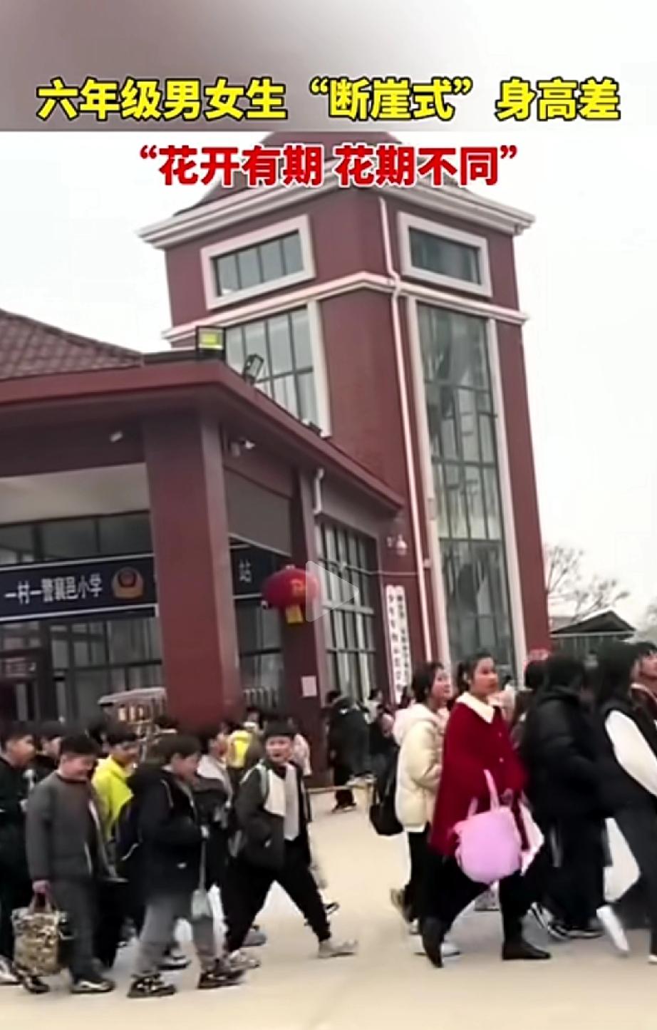 以前差距没有这么大现在差距为什么这么大呢？难怪男孩子都没名堂