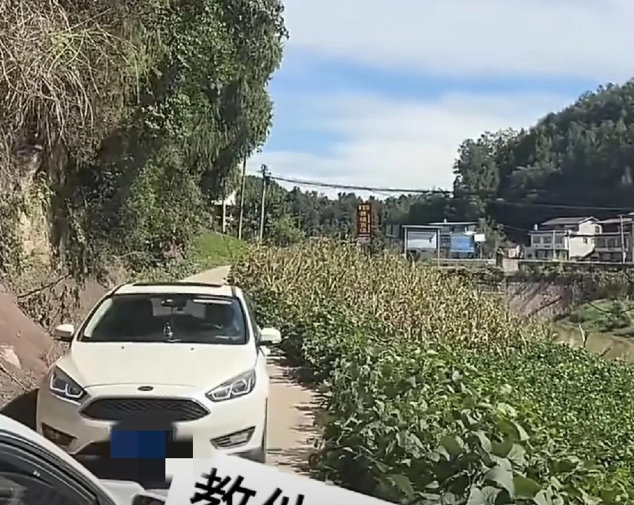 这照片看着可太解气了！将车停在乡村路上，人直接走了！后面堵了好几台车，车上也