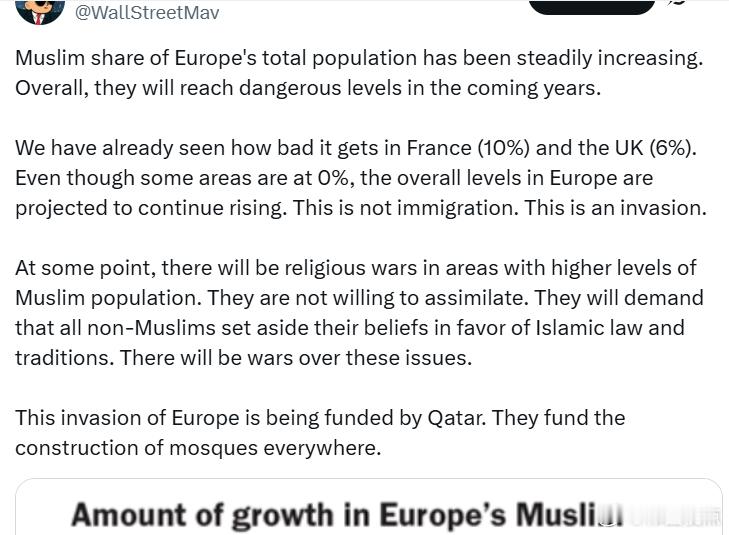 穆斯林在欧洲总人口中的比例一直在稳步上升。总体来看，未来几年这一比例将达到危险水