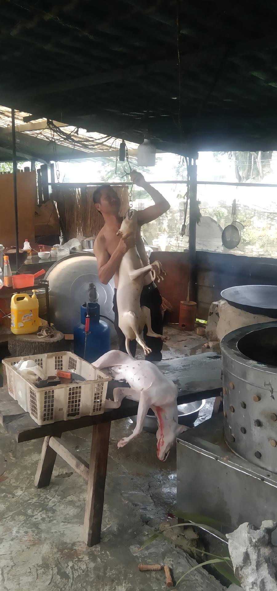 这是一位外地游客来到一处餐馆门口吃饭的时候，无意间在厨房的另一头拍摄下了令人无比