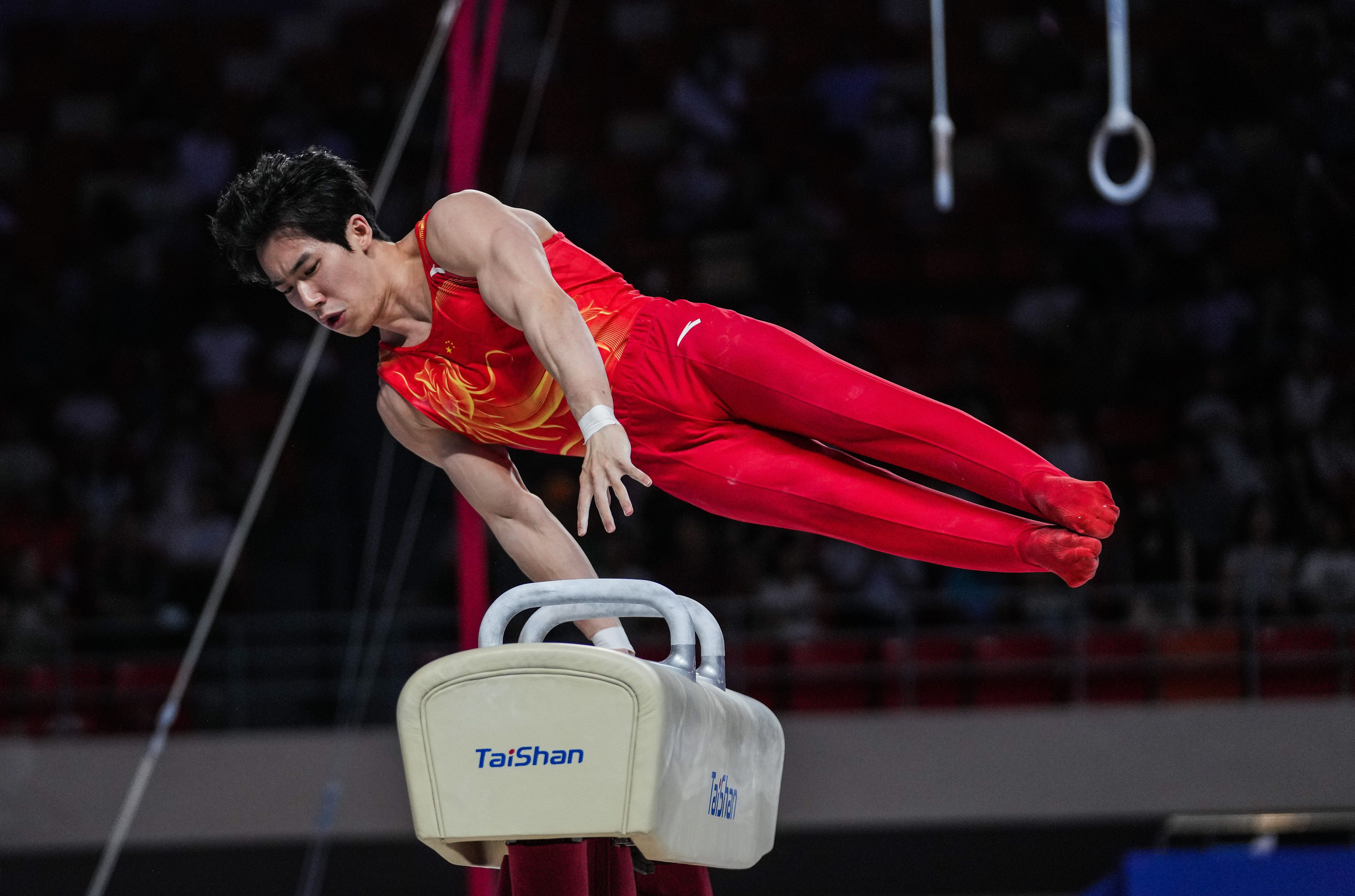 #张博恒三金三银#2026体操亚锦赛，男子项目成年组和青年组比赛收官，在男子团