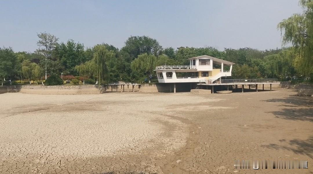 独家｜湖水抽干！胶州公园景观湖开启护岸大改造。近日，胶州公园景观湖湖水已抽干，