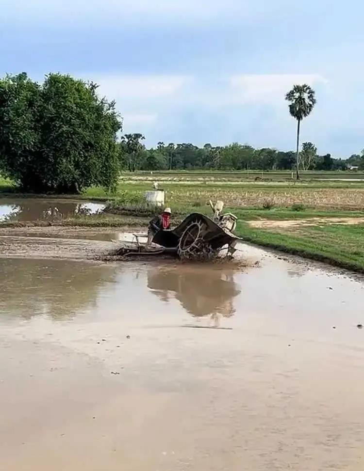 突然感觉大米不贵了