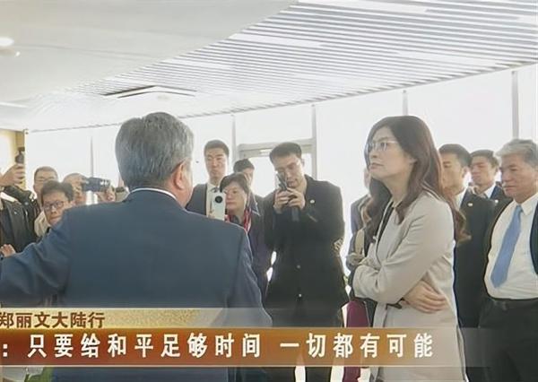 九合一选战彻底失控！民进党三招狠打蓝营，玩透畸形选举套路台湾年底九合一选举