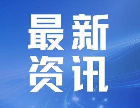 总公司领导来考察那天，科里都在忙报表和打扫。科长在办公室对着镜子喷发胶。副手小