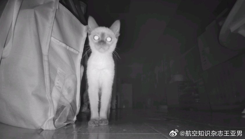 喵喵留守使深夜巡行，诸人回避。