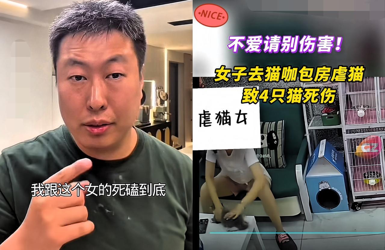 我算是明白“虐猫女”为什么会有恃无恐了！就算店主叶先生拼上身家也要追责她，她也