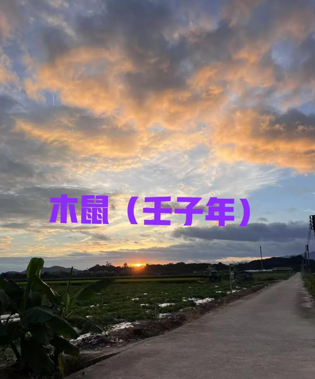 木鼠（壬子年）1、纳音五行壬子年的纳音为桑柘木，因此被称为木鼠。桑柘木是专用于