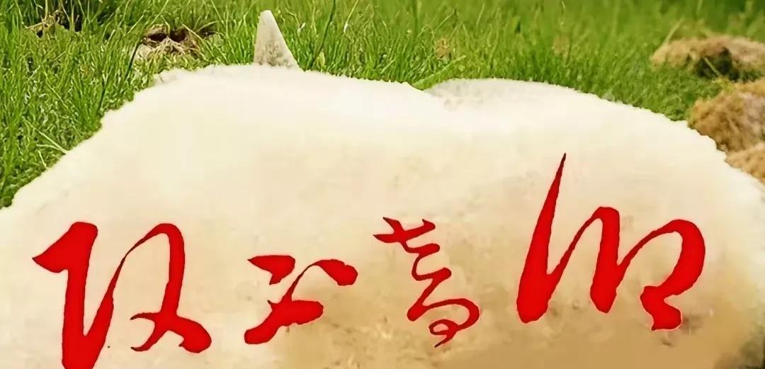 有的说“逢考必过”有的说“取心青川”看了半天，不敢下结论，请高手指点迷津？究