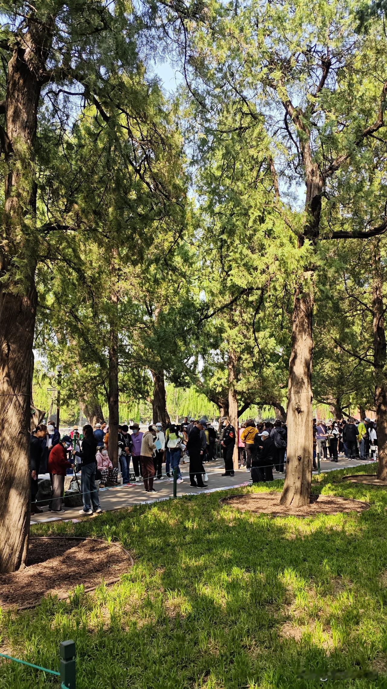 中山公园赏郁金香，无意中走入了相亲角，热闹堪比菜市场。某摊主问我男孩还是女孩