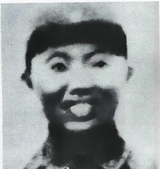 1942年，神枪手王凤麟惨遭出卖，被日军包围，最后只有一颗子弹。然而，他却做出了
