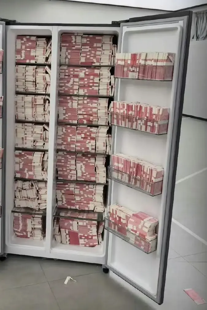 很多贪官为什么喜欢把钱藏入冰箱🤔