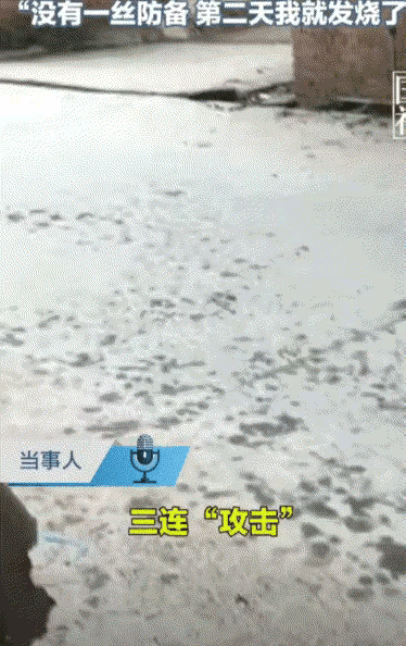 这三个货怎么就凑在一起了。云南的楚雄，一名女子刚准备出门，就看见一只小猫朝自