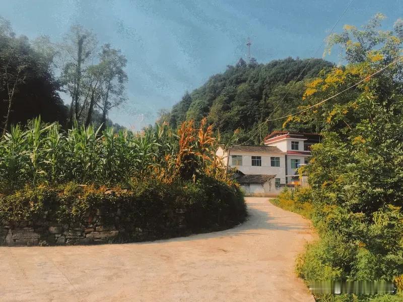 “贫在闹市无人问”，最合适的下联当属“富在深山有远亲”。这对联简直是现实的写照，