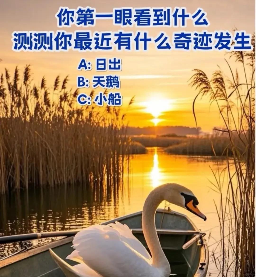 你第一眼看到什么测测你最近有什么奇迹发生A：日出B：天鹅C：小船白羽