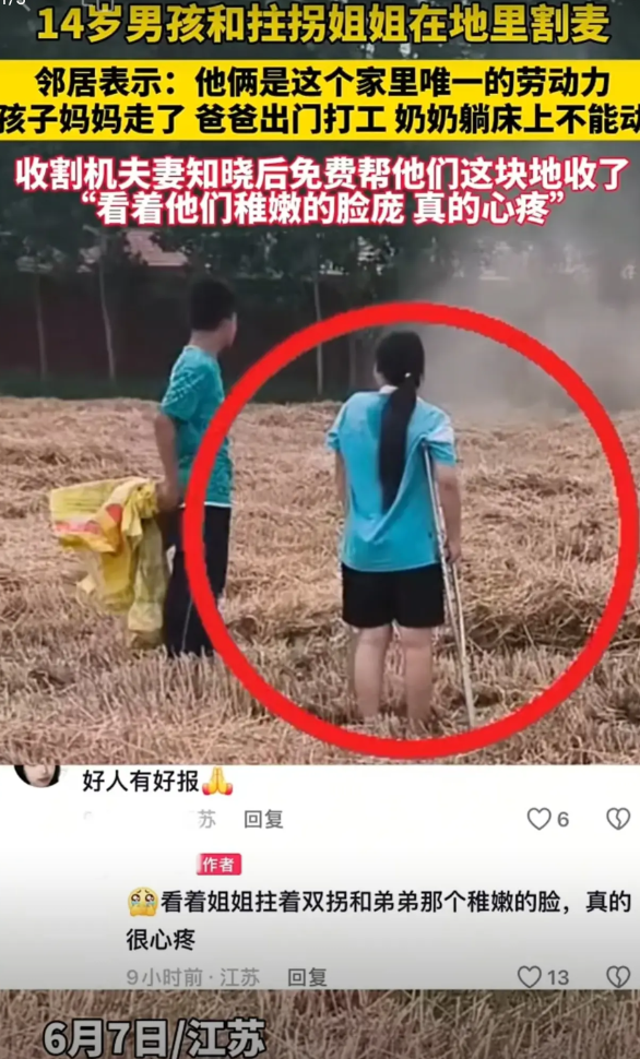 14罗岁男孩和拄拐姐姐在地里割麦邻居表示:他俩是这个家里唯一的劳动力孩子妈妈