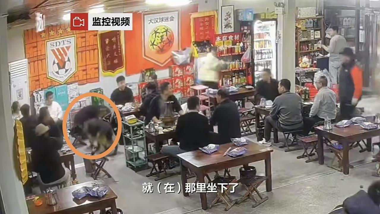 “这是有爱心还是不负责？”两条德牧大摇大摆进了一家餐厅，店主不仅没有赶它们走，而
