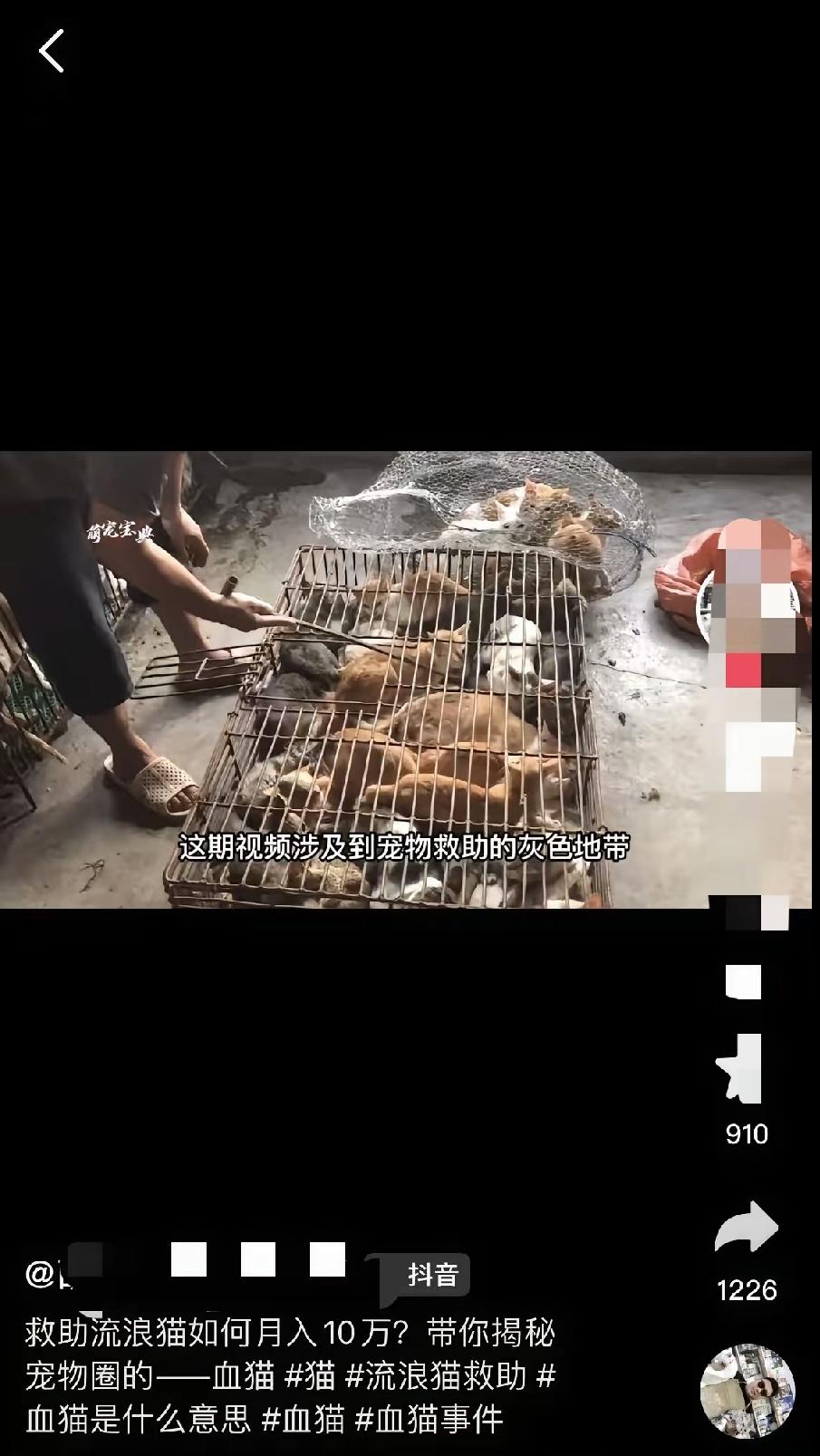 最近广东有个女的带着猫去宠物医院治疗,医生说要输血,结果她家猫输完血当天就死了。