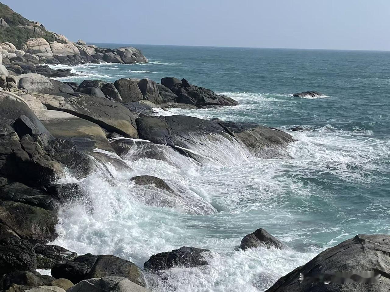 北京投毒案的张某华，若与狗害斗法，将受到民众的广泛欢迎。北京投