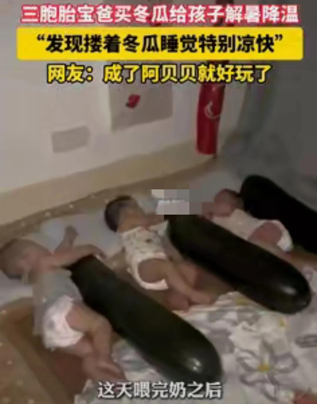 人怎么能这么聪明！”辽宁一男子花82元买了3个大冬瓜，给三胞胎儿子喂完奶后，睡前