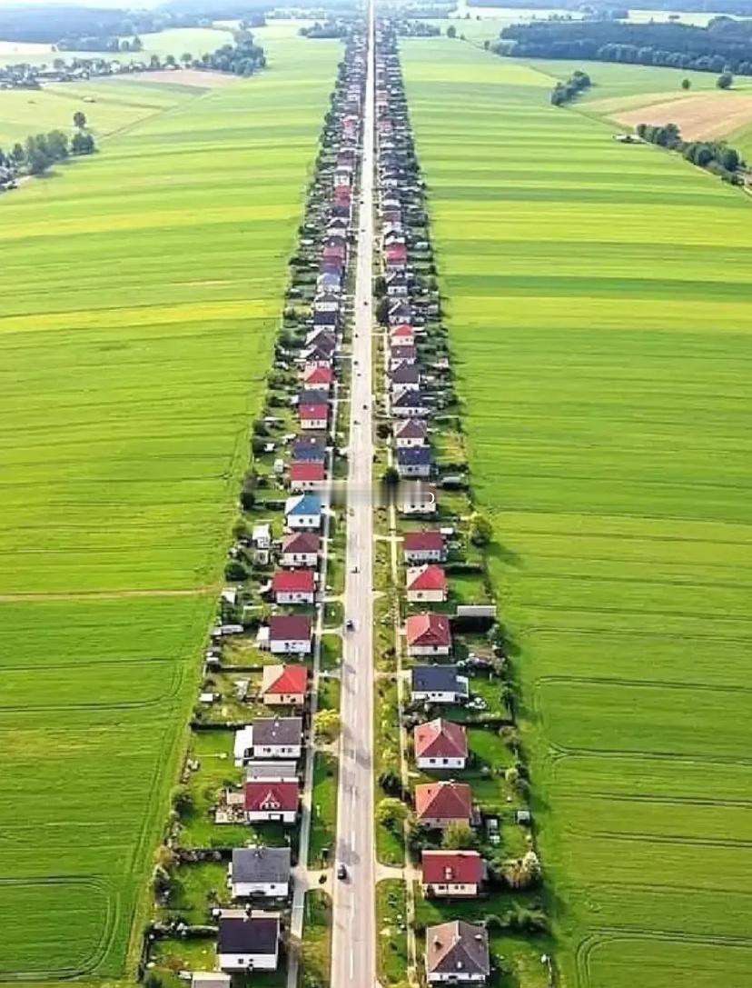 新农村设计的天花板，没有之一！