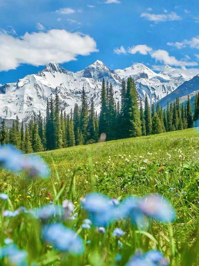 每年的夏天，总该去趟新疆吧。