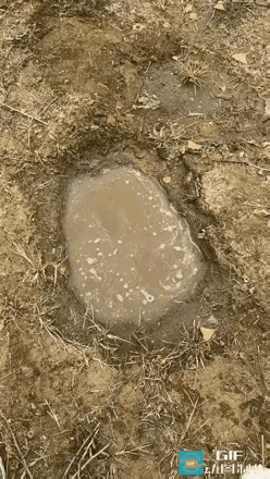 脑袋好使就是不一样[赞]