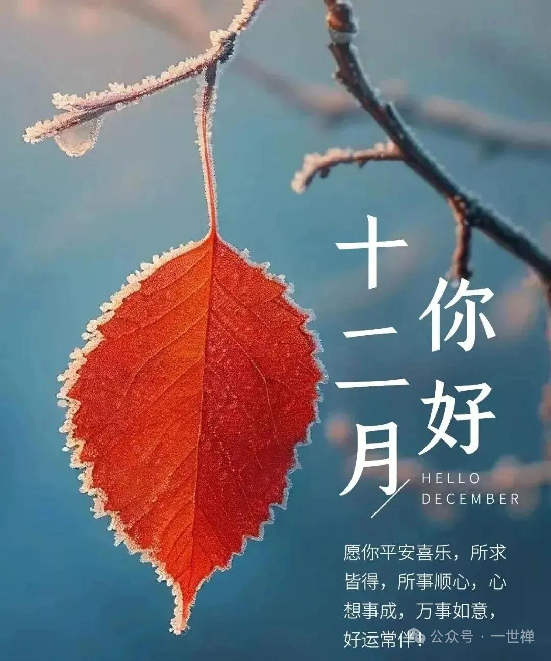 友友们早上好！天气越来越冷，保重身体，心想事成，诸事如意！🌹🍎🍎♥️