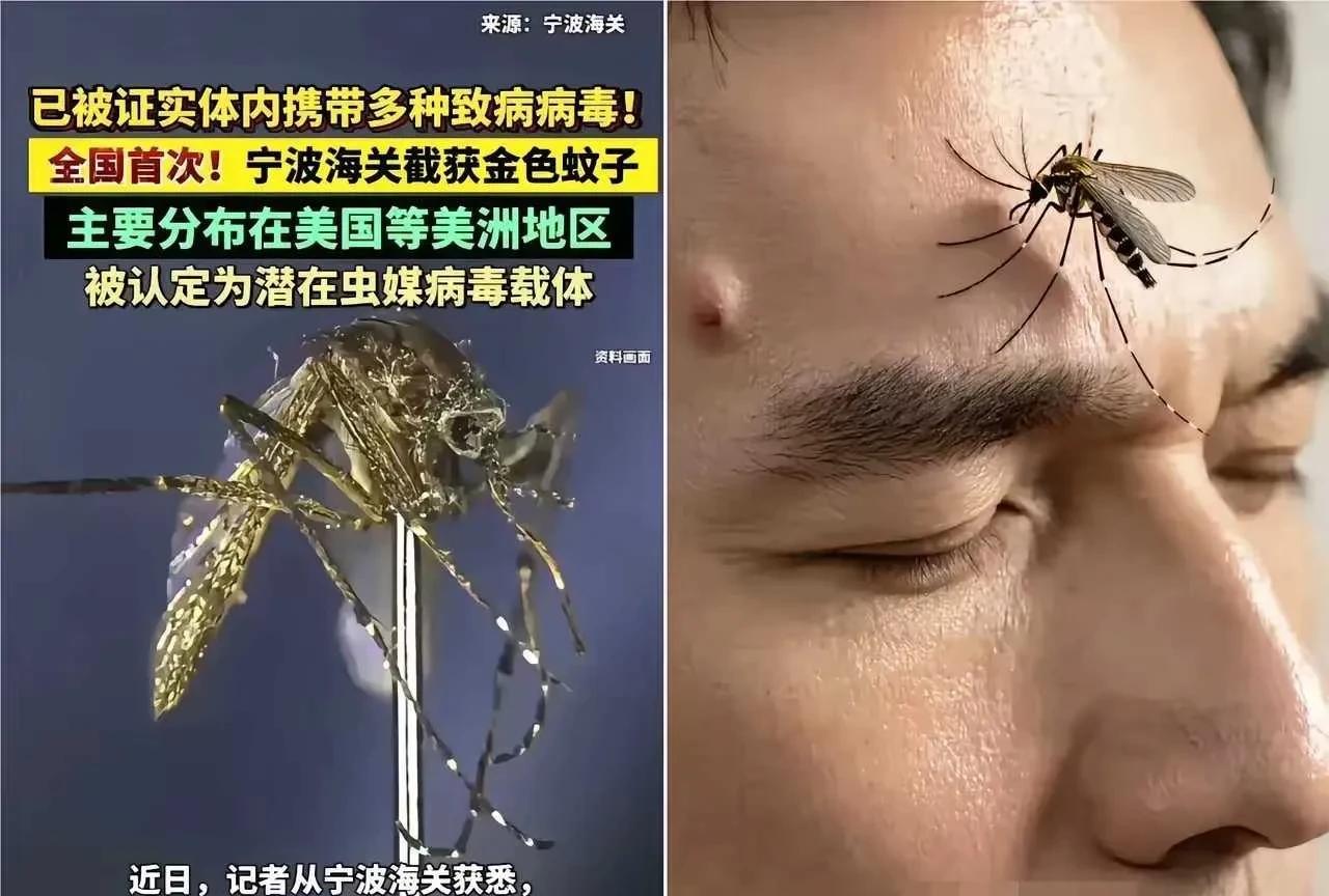 这次广东发生的基孔肯雅热病怎么又和美国人有关？这个基孔肯雅热病毒不是新发病毒，