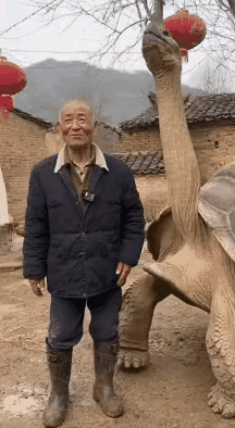 这龟起码有五千岁了。大爷在他面前仿佛是一个幼童。见过太多的生死，它的眼泪早已