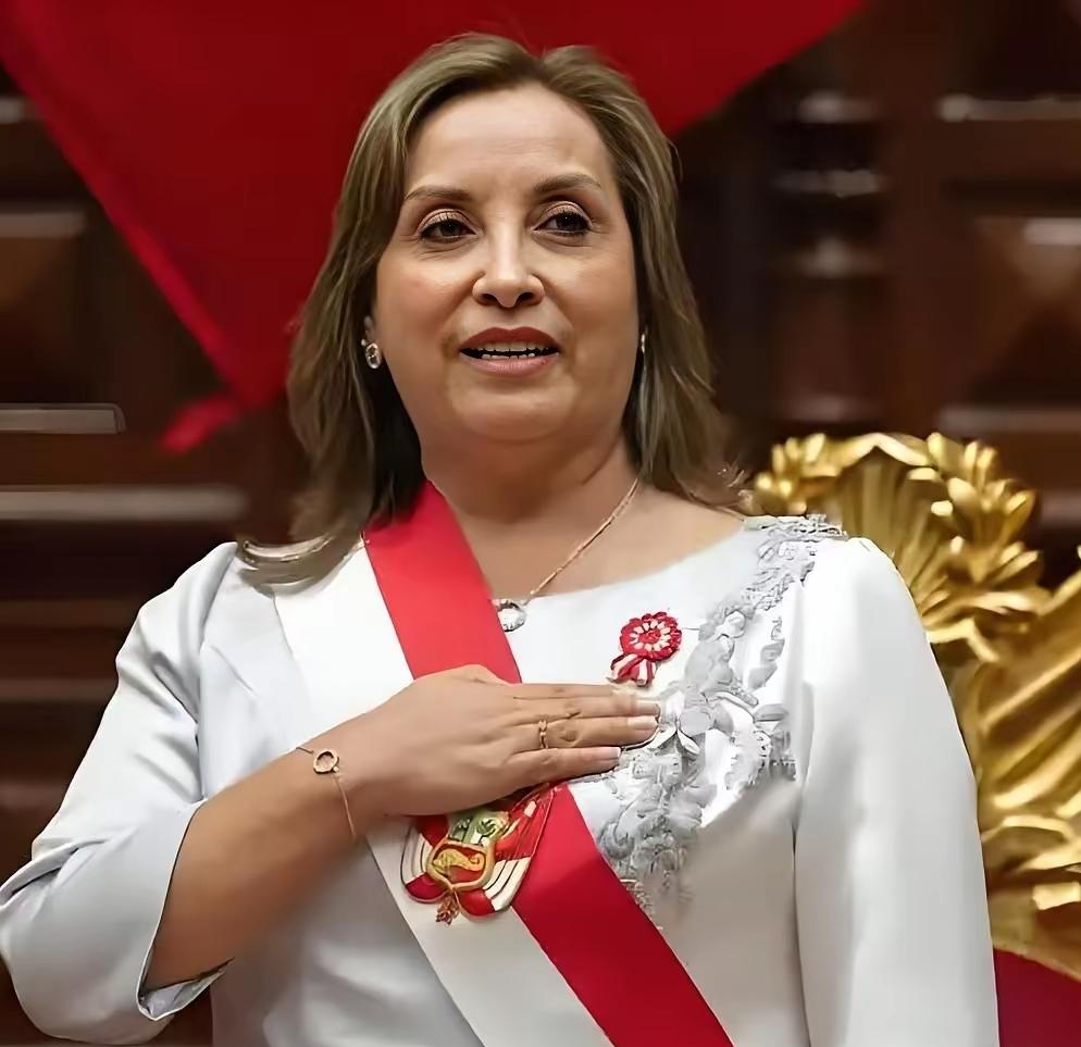 秘鲁这一刀，砍的真狠！中国汽车轮胎在秘鲁彻底“芭比Q”了3月24号，秘鲁突然