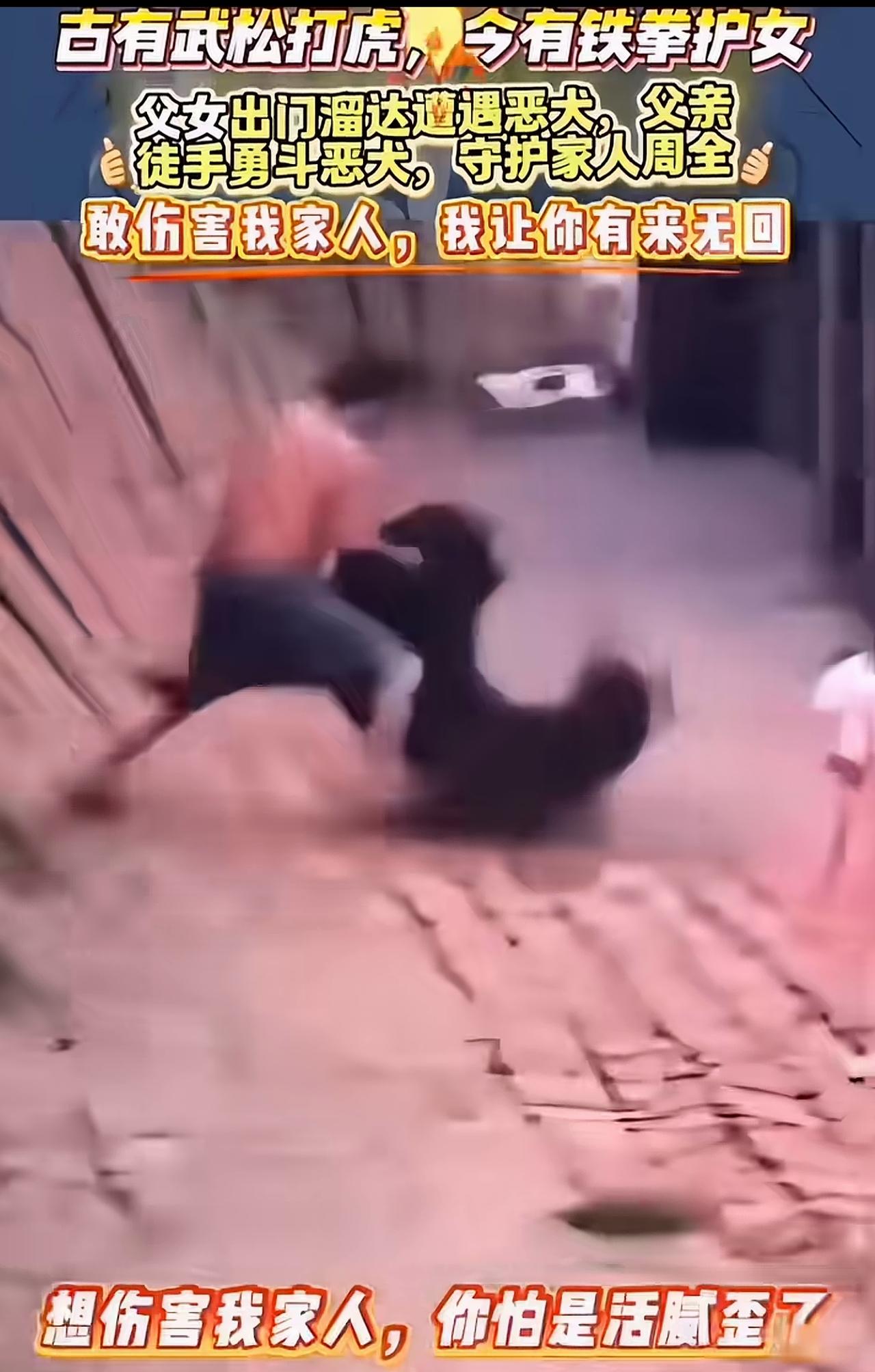 恶犬伤人，狗主人犯罪，狗应该打死。