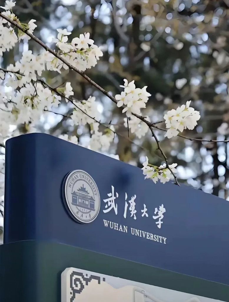 武汉大学官网，48小时给肖同学定罪，半个月过去了处分还挂着前后办事效率形成鲜明