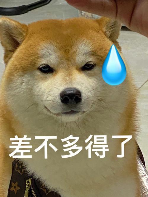 茉酸奶小程序没有外卖，美团附近店也没上套餐小程序自提里也显示套餐售罄……有点无语=_=省钱喽~​