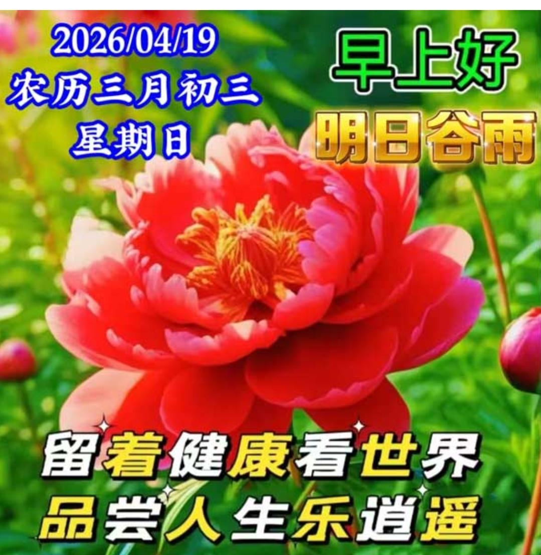 人生百年，相遇是缘；每天问候，温暖心房；彼此牵挂，言语不多；一字一句，友谊