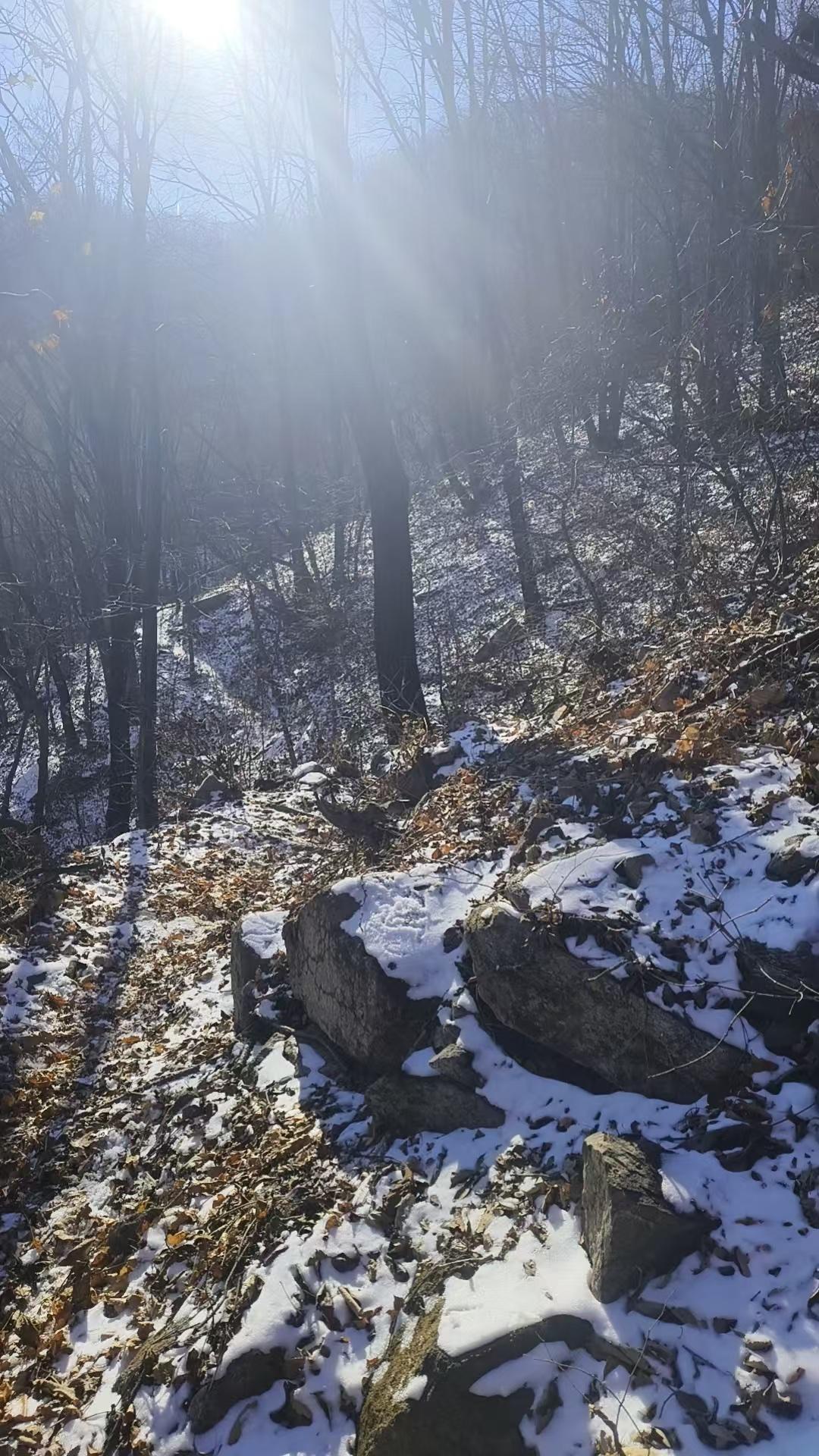 好好活着吧，一旦死了就什么都没了这几天有件事一直堵在胸口，吐不出来，咽不下去