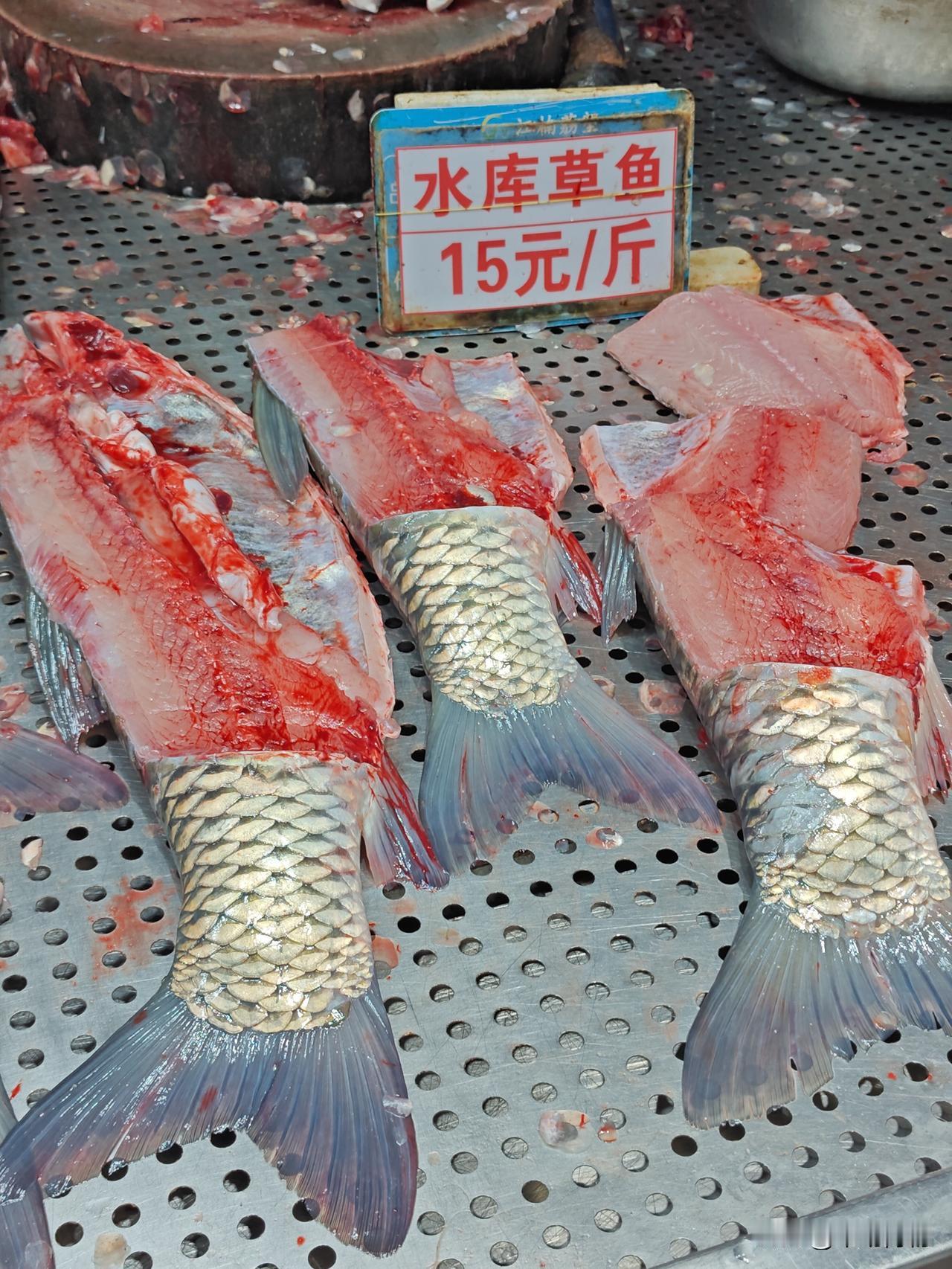 普通鲩鱼身15-斤，鱼尾12，没有净腩，估计18，吊水鲩鱼18/斤。最近草鱼偏贵