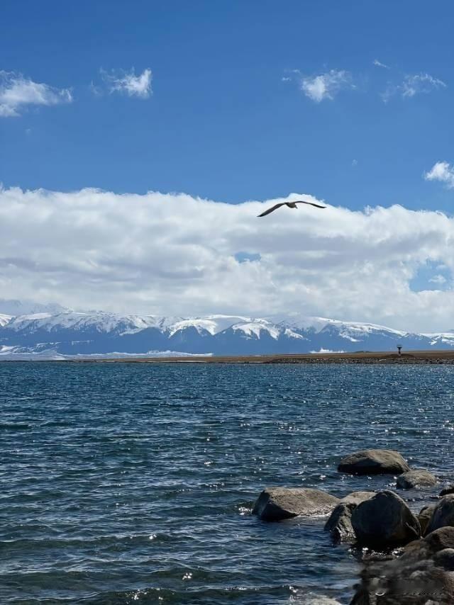 梦启新疆·心向远方远赴人间惊鸿，一睹新疆盛景。一路向西，翻越天山，奔赴那