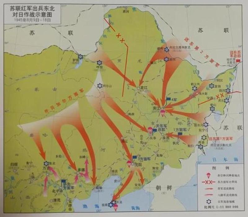 刘亚楼给空军大院选树种,据其女儿回忆他的标准是:不生虫,能吃,还能入药。这个