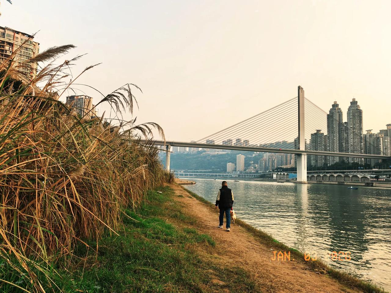 老公有点后悔打疱疹疫苗了。打了第一针疱疹疫苗，第二天副作用就出来，还挺猛烈的